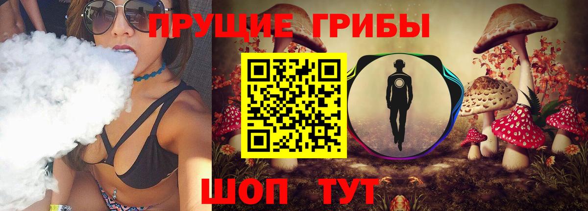 Сланцы  Псилоцибиновые грибы GOLDEN TEACHER  Вход с VPN 