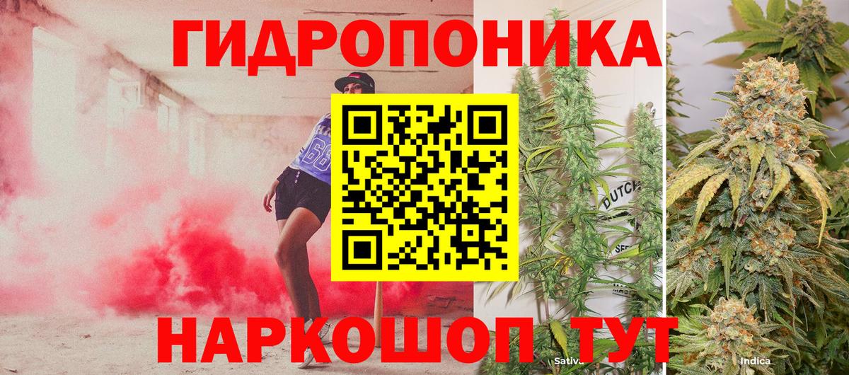 Шишки марихуана White Widow Сланцы